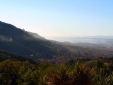 View of Pescia and the valley