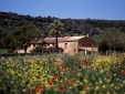 Finca es Mayolet b&b Hotel Mallorca boutique country side