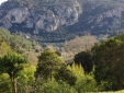Charming Hotel Mallorca