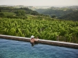 Peterc Vineyard Estate best wine accommodations secretpalces slovenia swimming pool