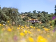 La Dehesa Experience Glamping hotel damuz, Córdoba