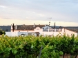 Queen of the vineyard