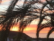 View of La Palma from the garden.Bellamare.Canarias.Secretplaces 