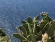 Just outside Bellamare.Canarias.Secretplaces 