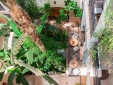 Riad 72 best bouique hotel marrakesh