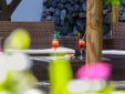 La Vetara Kitchen & Dining room