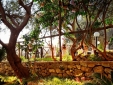Villa Rina Country House amalfi coast b&b Hotel