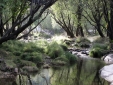 Las horas Perdidas cottage house to rent Madrid Province 