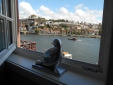Guesthouse Douro Charming Bed and Breakfast River View Oporto Portugal 
