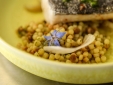 The menu of the restaurant is a French traditionnel kitchen with a modern touch