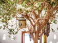Casa Dominique lanzarote hotel b&b famara