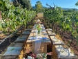 Masseria Montenapoleone Hotel b&b fasano puglia boutique rural