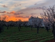 Masseria Montenapoleone Hotel b&b fasano puglia boutique rural