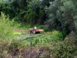 herdade da cortesia