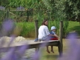 Tenuta Poggio al Casone Tuscany pisa Apartments boutique