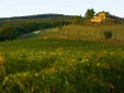 Conti di San Bonifacio Wine Resort hotel tuscany