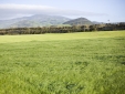 Pico view