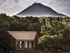 Alma do Pico