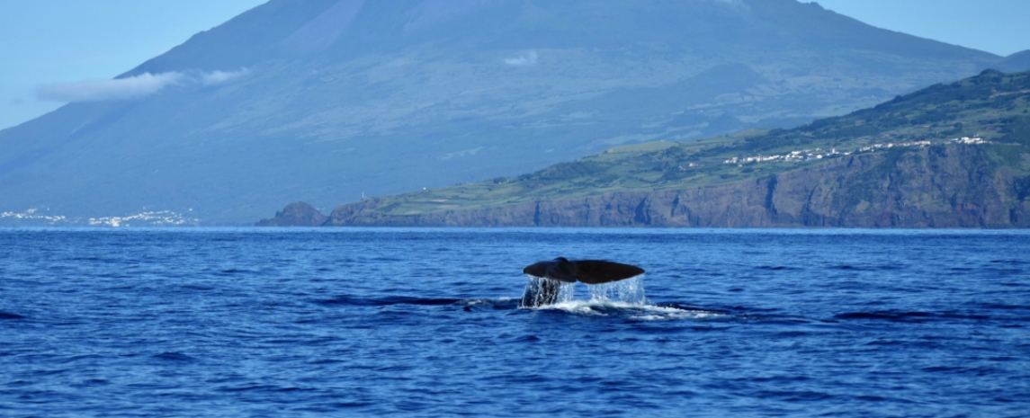 Azores