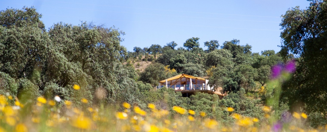 Unsere 5 schönsten Glampings