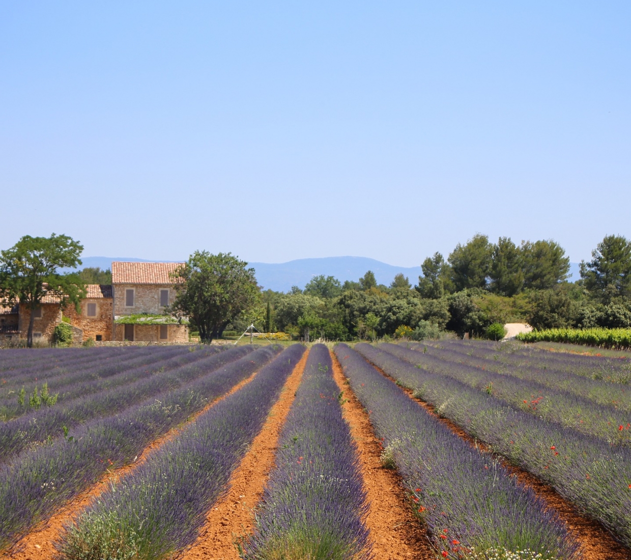 Curated guide to beautiful and authentic places to stay in Alpes de Haute Provence