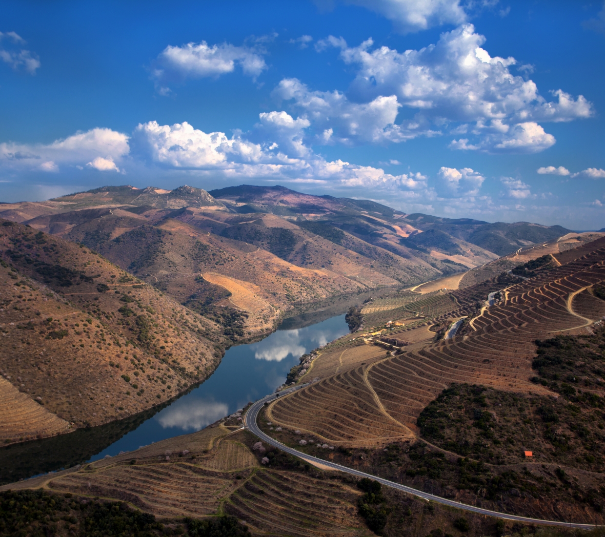Handpicked boutique hotels Douro, beautiful guest houses and holiday homes