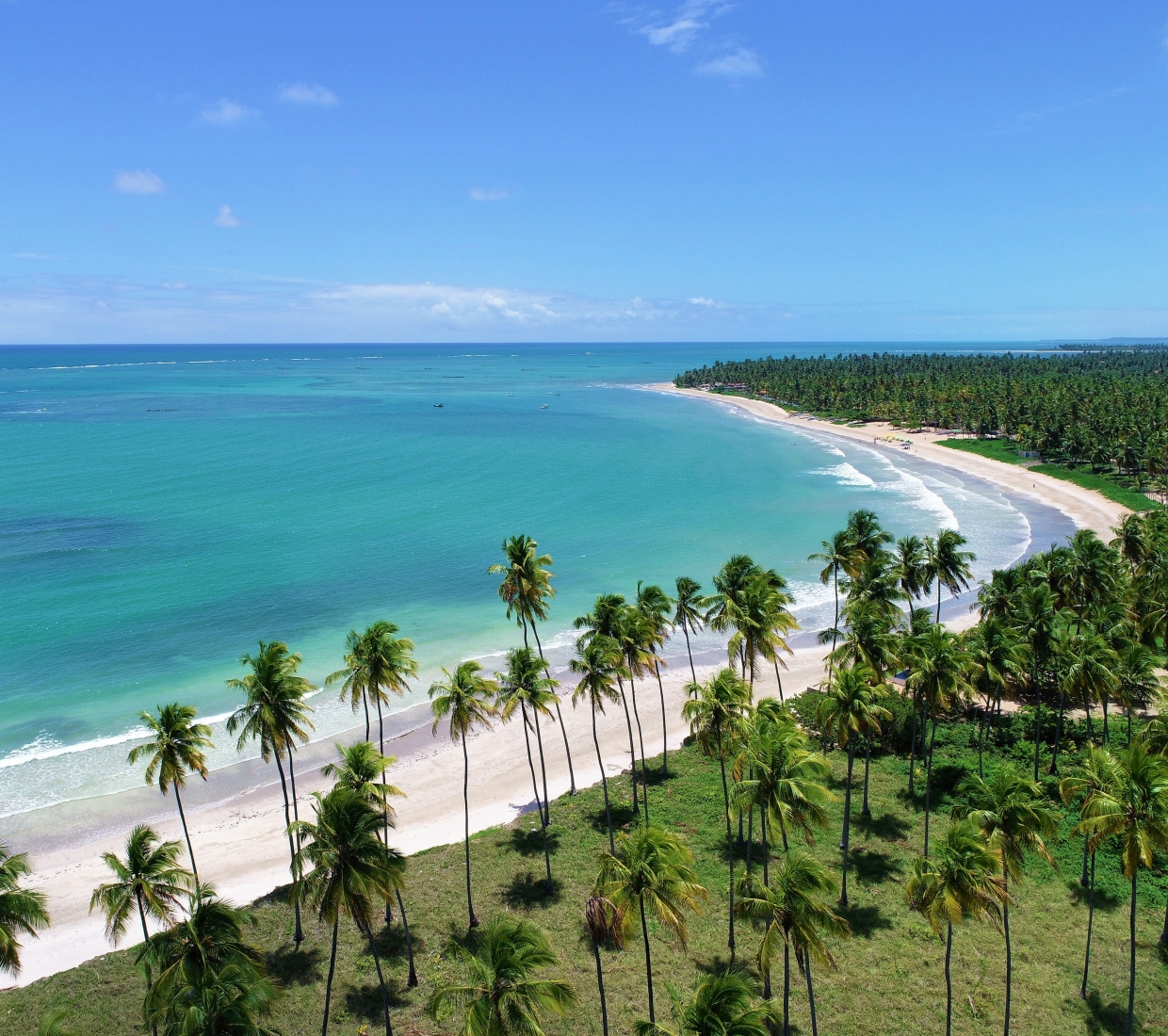 Curated guide to beautiful places to stay in Alagoas