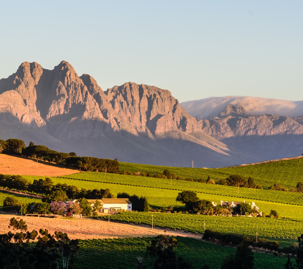 Curated guide to beautiful places to stay in Cape Winelands