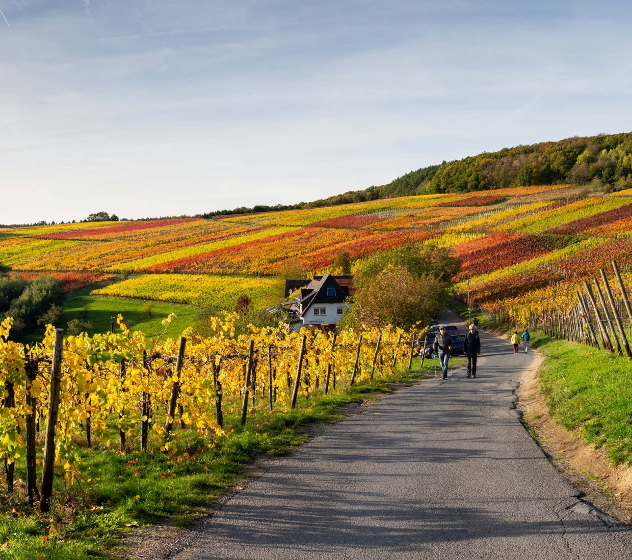 Curated guide to beautiful places to stay in Rhineland-Palatinate