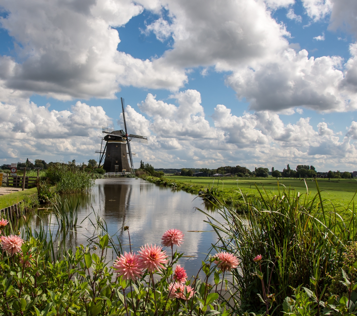 Curated guide to beautiful places to stay in South Holland