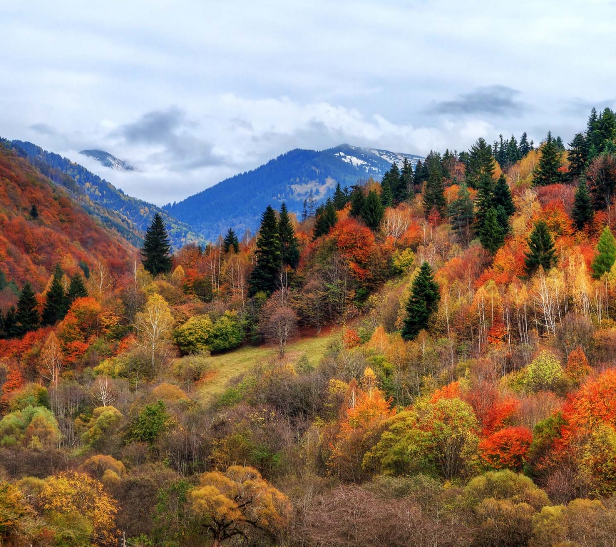 Central Northern Bulgaria