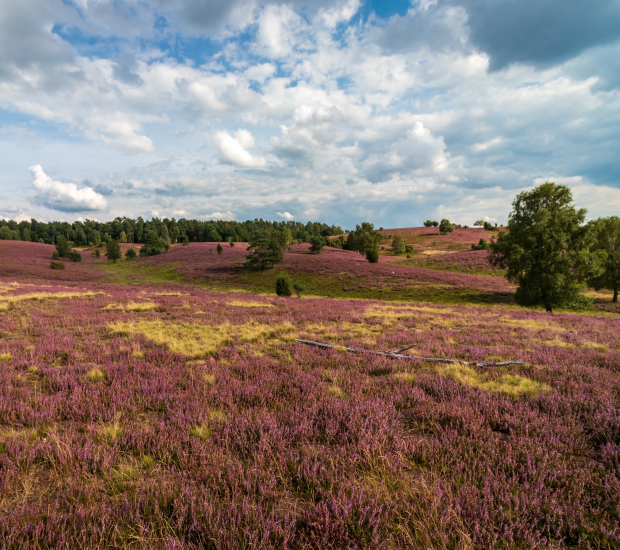 Curated guide to beautiful places to stay in Niedersachsen