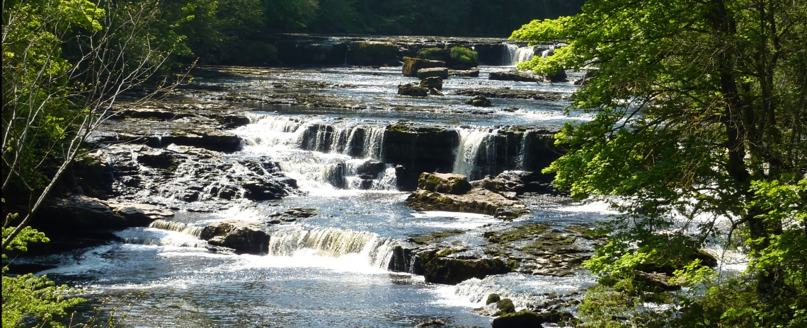 Aysgarth