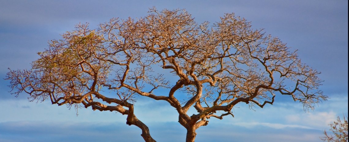 Curated guide to beautiful places to stay in South Africa