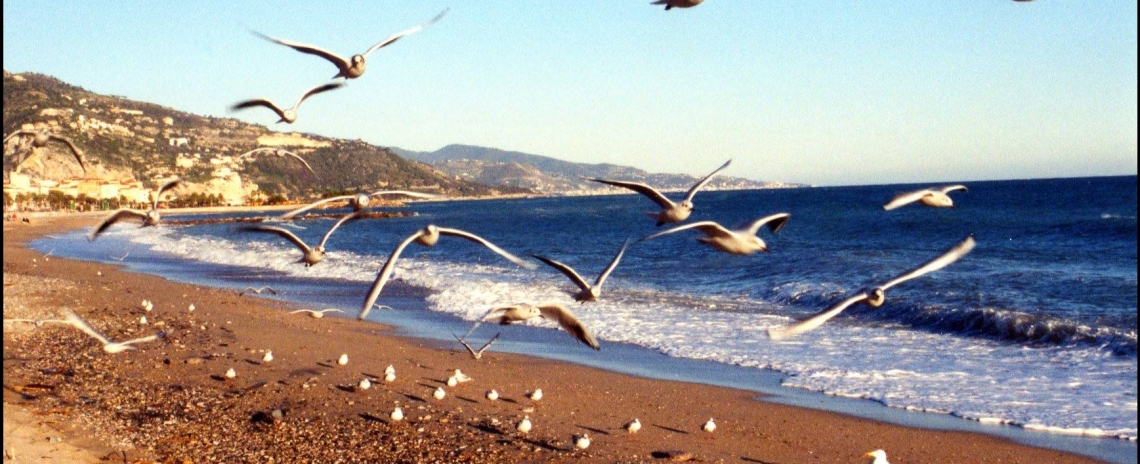 Curated guide to beautiful and authentic places to stay in Alpes Maritimes Côte d’Azur