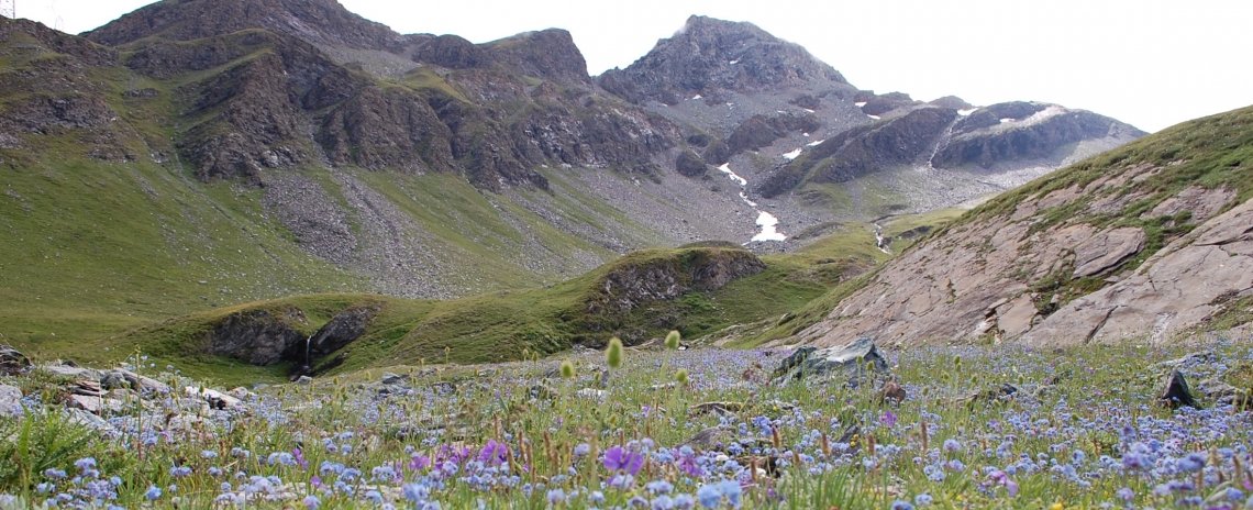 Val d'Aosta