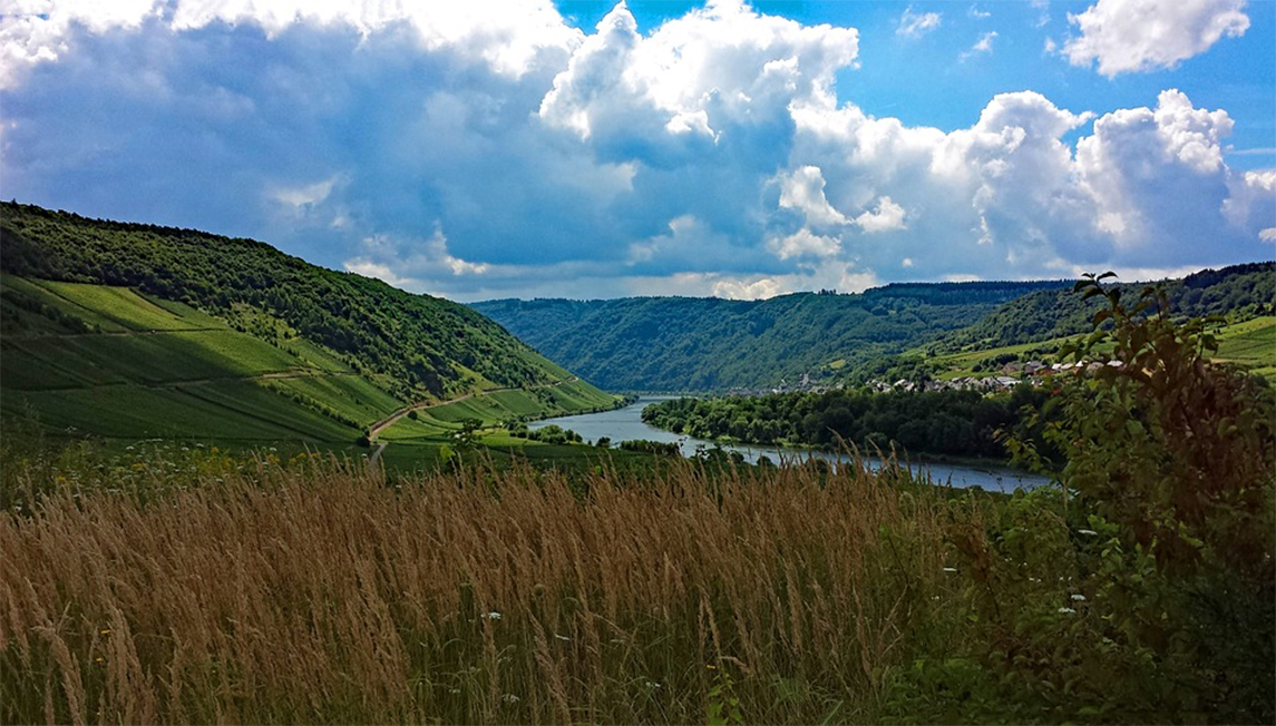 Curated guide to beautiful places to stay in Rhineland-Palatinate