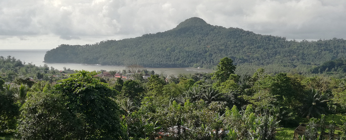 Curated guide to beautiful places to stay in São Tomé