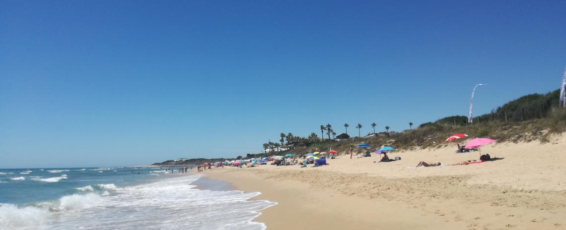 Curated guide to beautiful places to stay in Los Caños de Meca