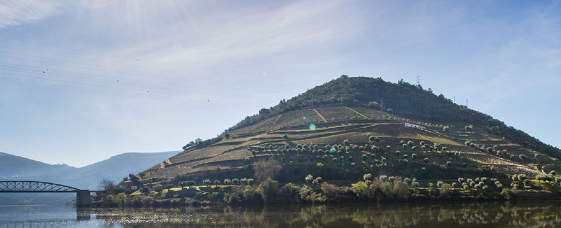 Best boutique hotels, B&B and romantic getaways Baião