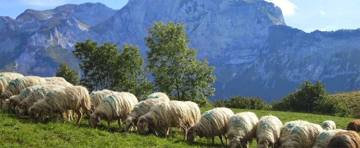 Curated guide to beautiful places to stay in Midi-Pyrenees