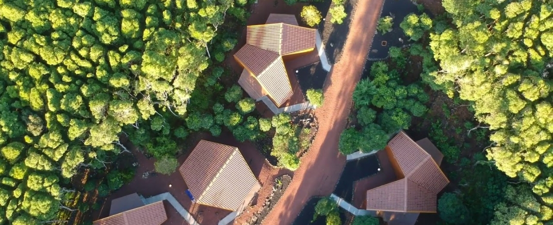 Alma do Pico