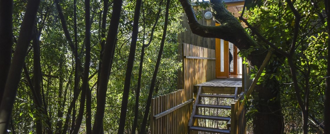 Cabañitas del Bosque - Cabanas do Barranco