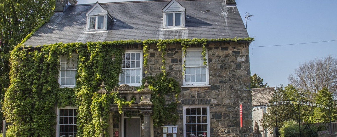 Llys Meddyg Hotel