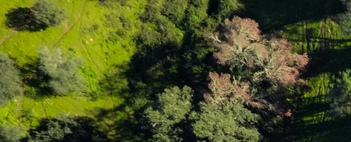 Herdade da Cortesia