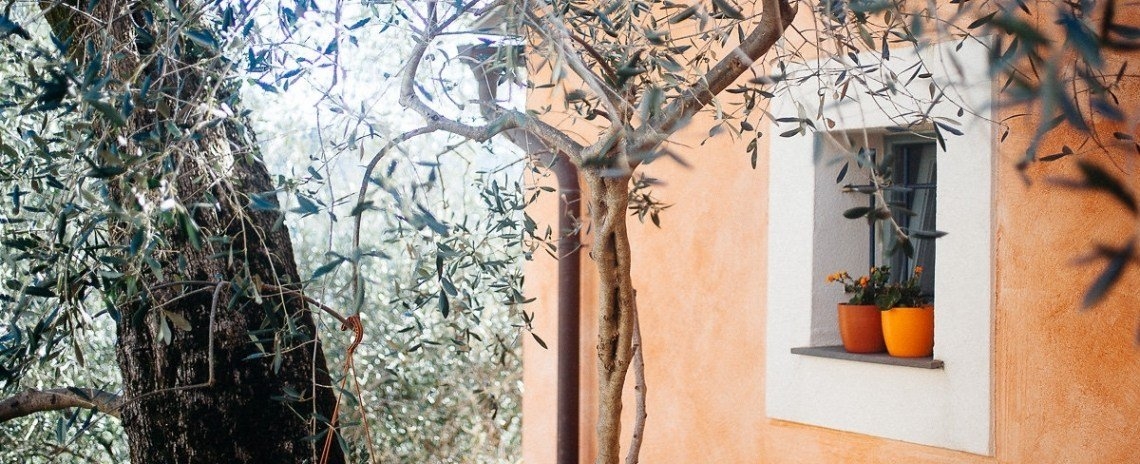 Agriturismo I Freschi