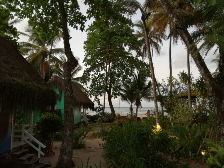 Houses at the beach
