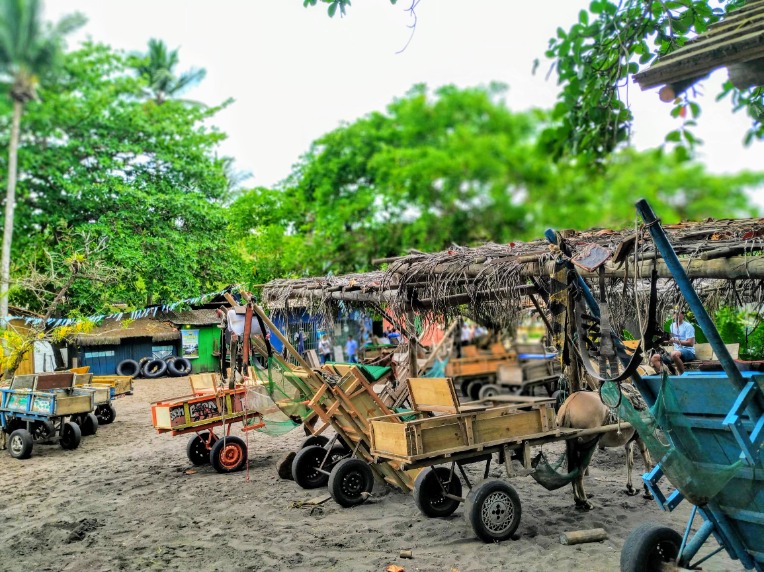 Typical means of transportation