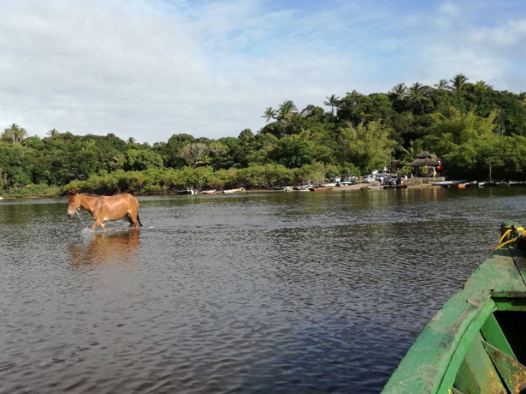 River view