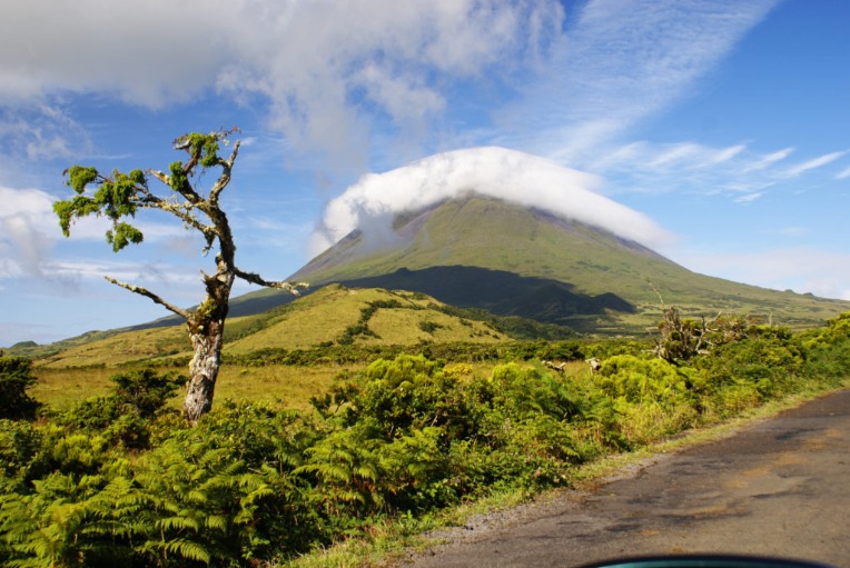 Beautiful green mountain landscape